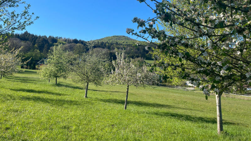 unser Hausberg