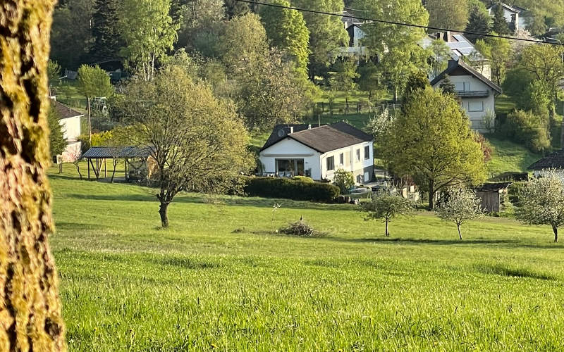 Blick auf die ›Ahrliebe‹