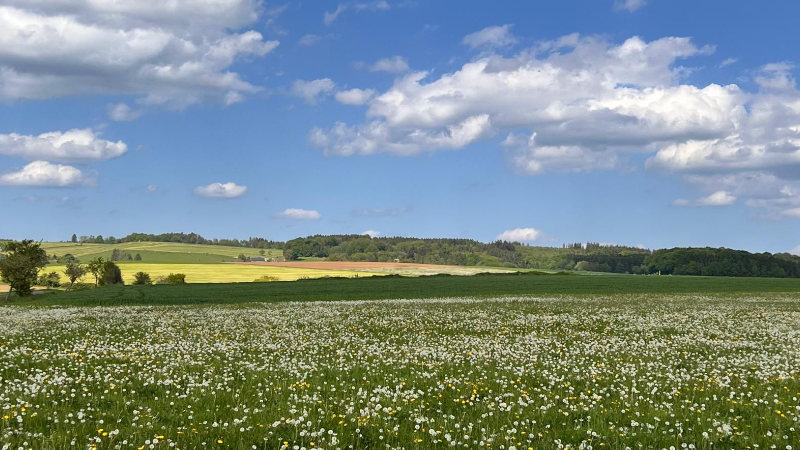 weite Landschaft